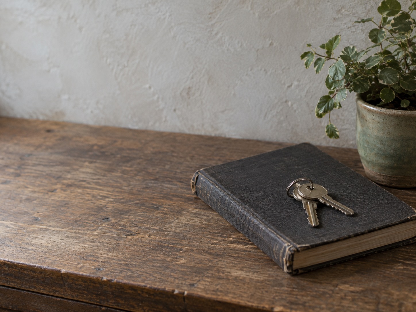A set of keys resting on a closed ledger book beside a small potted plant on a clean wooden counter.