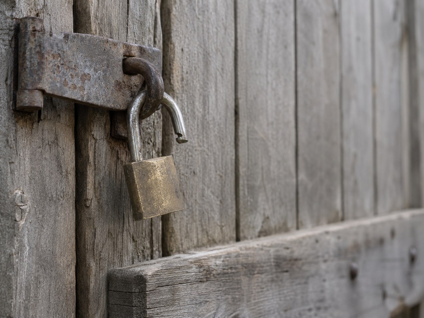 A brass padlock hanging open from a wooden gate latch in soft morning light.
