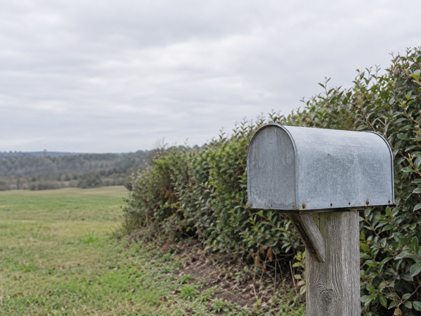A plain metal mailbox with its lid closed on a wooden post beside a low garden hedge.