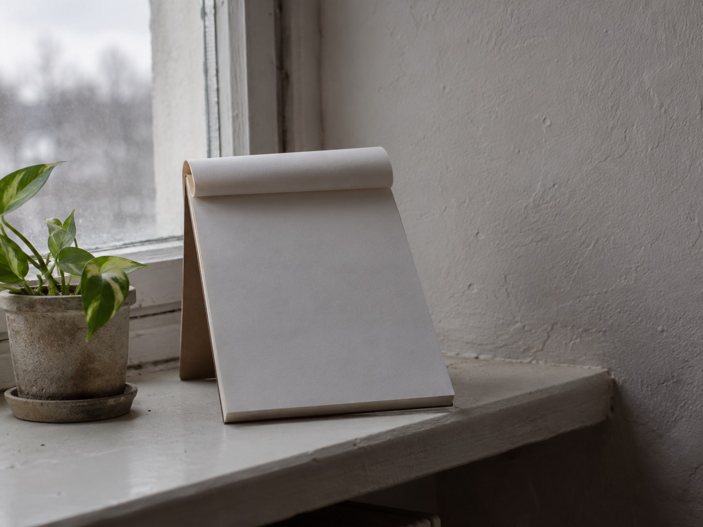A wall calendar page turned over beside a small potted plant on a windowsill.