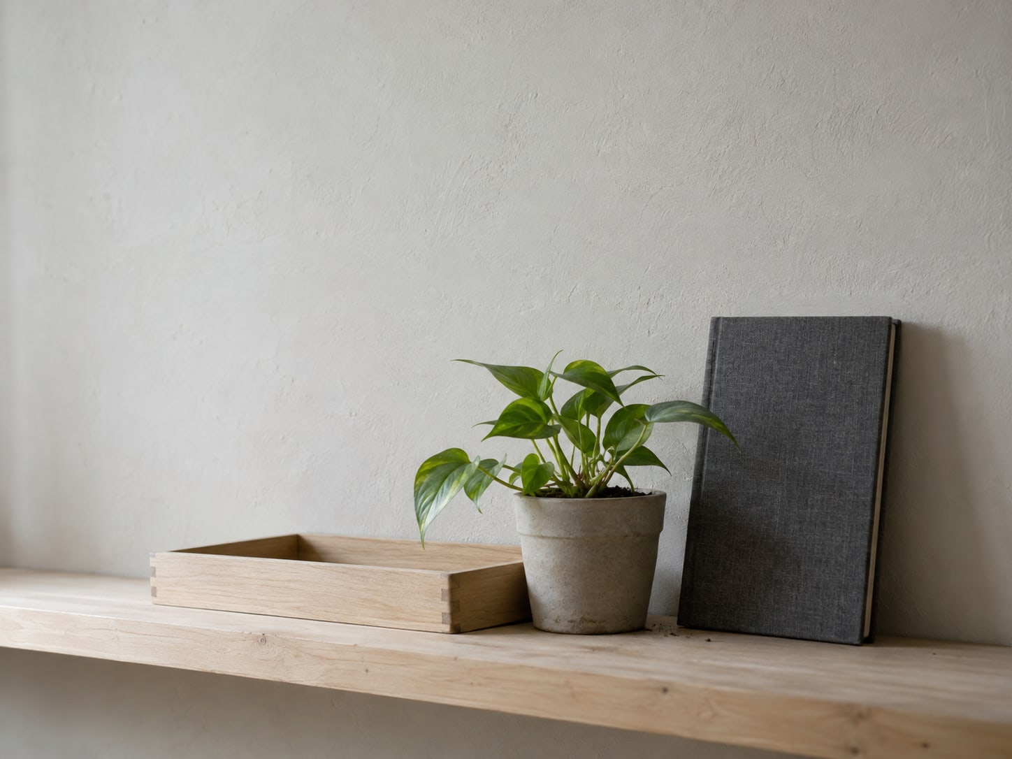 A small potted plant beside an empty wooden tray on a bare shelf, with a closed notebook leaning against the wall.
