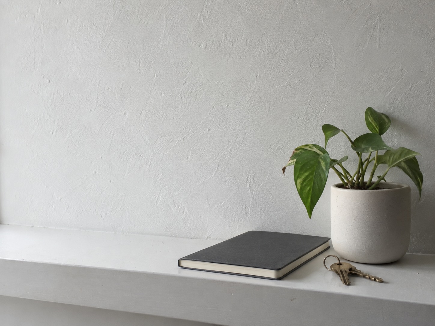 A small potted plant, a closed notebook and a set of keys on a clean white shelf.