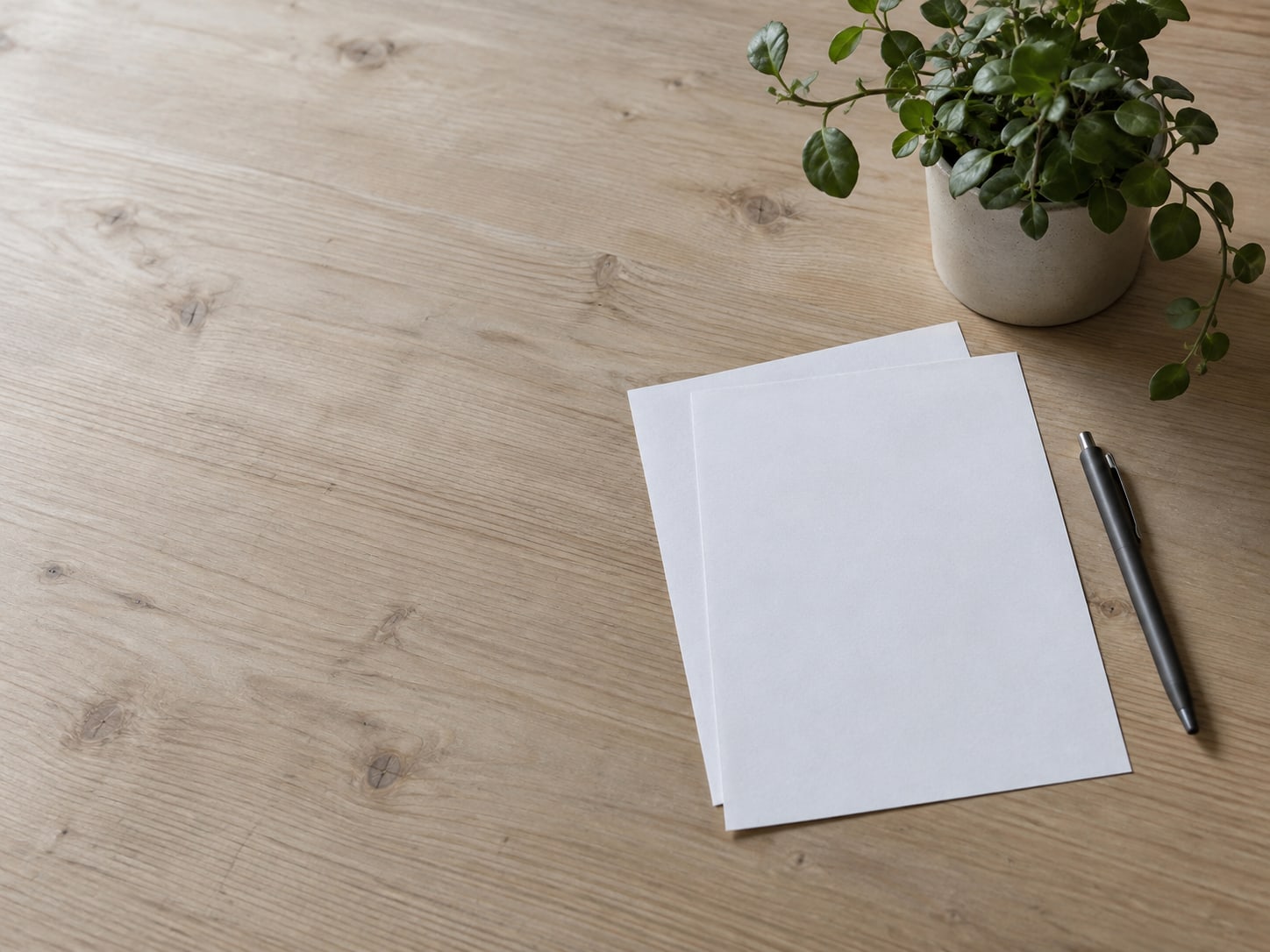 Two blank sheets of paper and a closed pen resting beside a small potted plant on a light wooden desk.