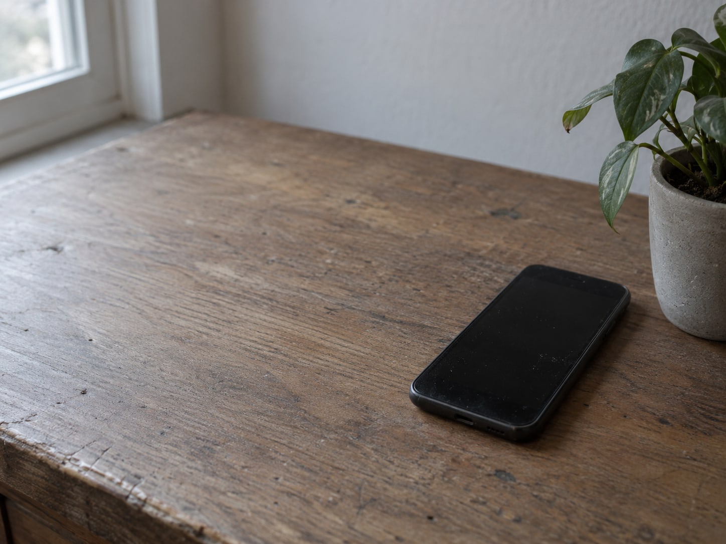 An older smartphone with a dark switched-off screen resting beside a small potted plant on a counter.