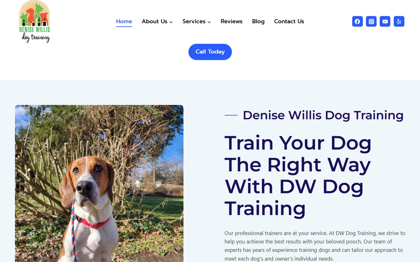 DW Dog Training website built by Web Leveling