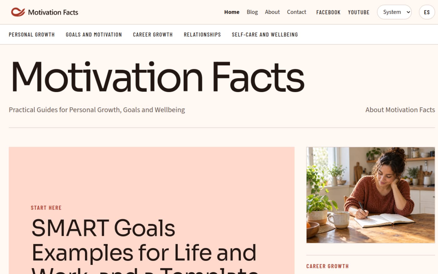 El sitio web de Motivation Facts que construimos