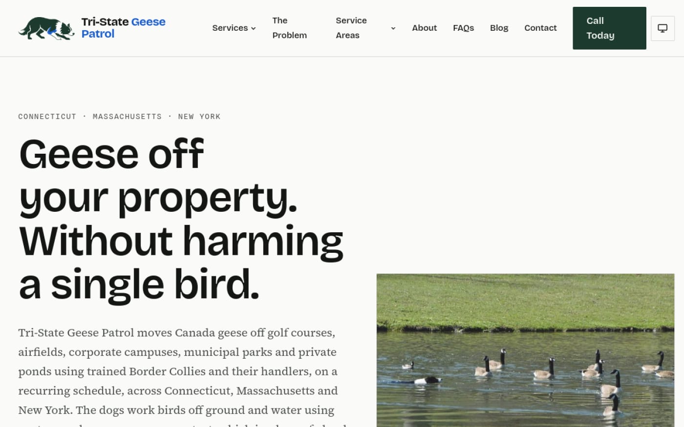 The Tri-State Geese Patrol website built by Web Leveling